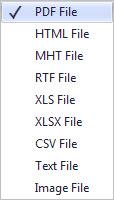 Report Export Options